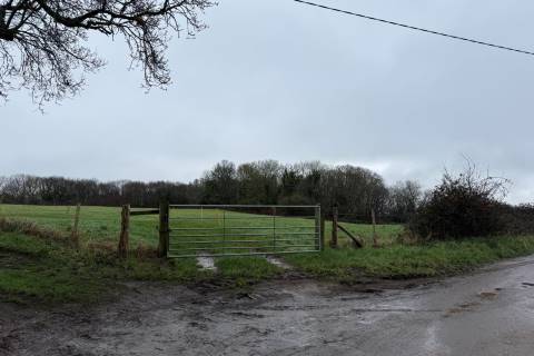 Property for auction in East Sussex
