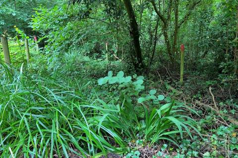 Property for auction in Isle of Wight