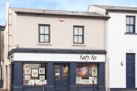 Property for auction in County Wexford
