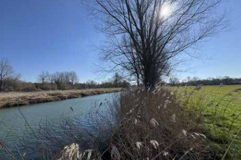 Property for auction in Dorset