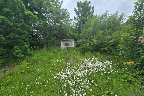 Property for auction in Berwickshire