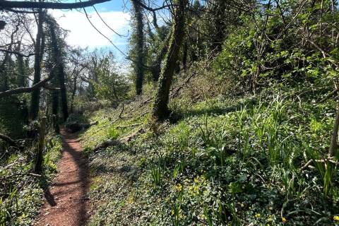 Property for auction in Devon