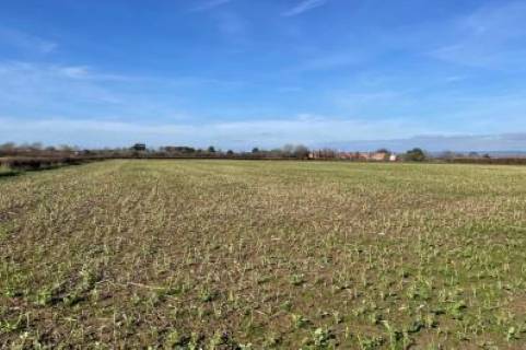 Property for auction in Somerset