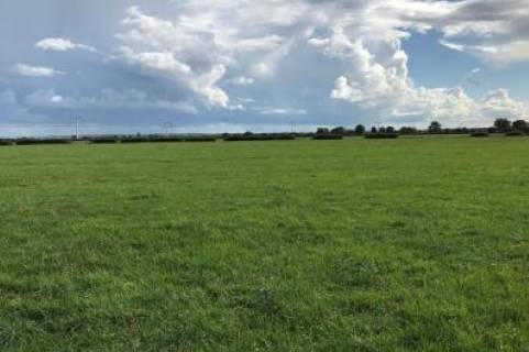 Property for auction in Somerset