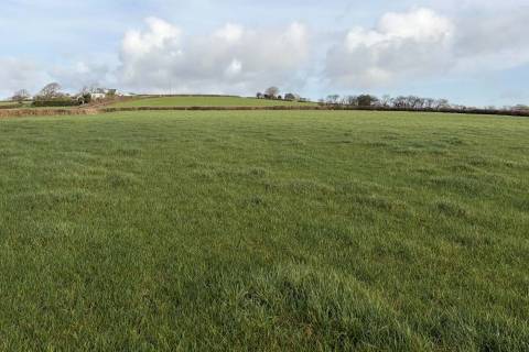 Property for auction in Devon