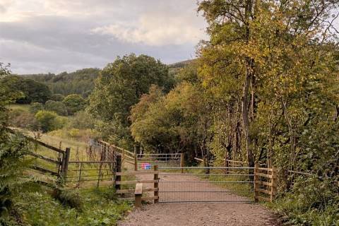 Property for auction in Clwyd