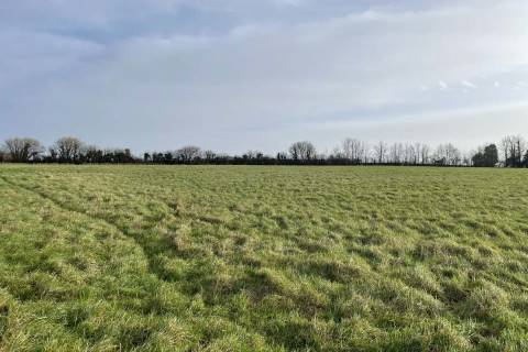 Property for auction in Somerset