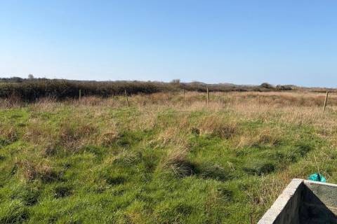 Property for auction in Devon