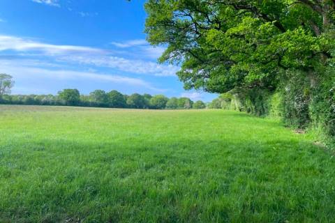 Property for auction in Hampshire