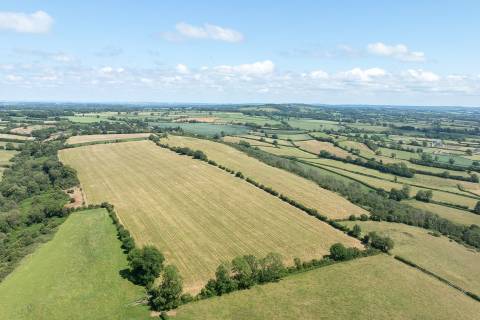 Property for auction in Somerset