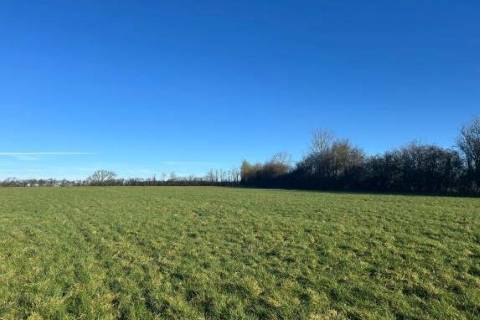 Property for auction in Somerset