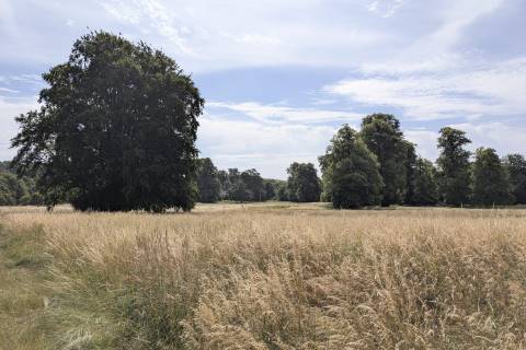 Property for auction in Wiltshire