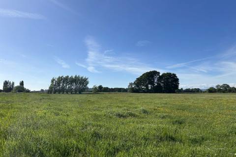 Property for auction in Somerset