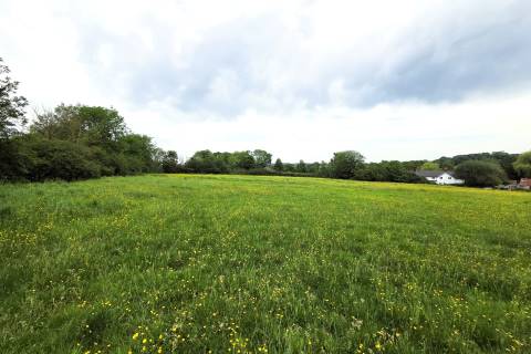 Property for auction in Somerset
