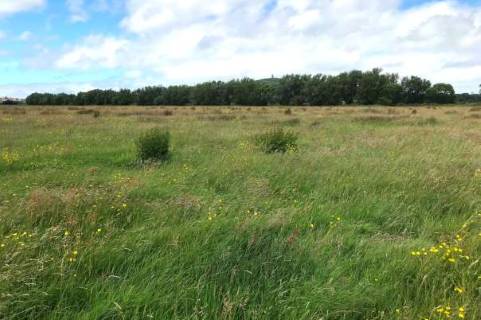 Property for auction in Somerset