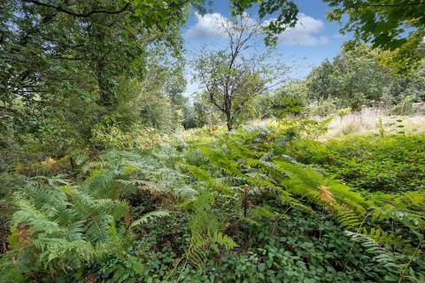 Property for auction in Cornwall