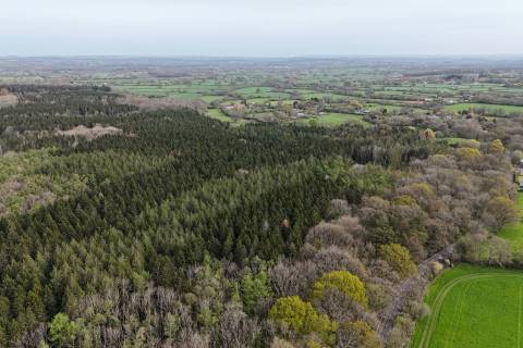 Property for auction in Dorset