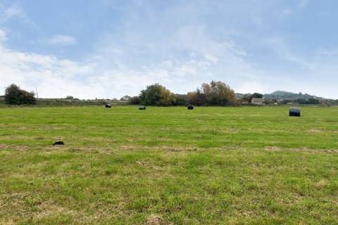 Property for auction in Somerset