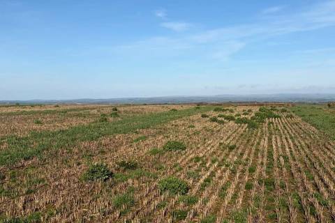 Property for auction in Devon