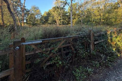 Property for auction in Essex