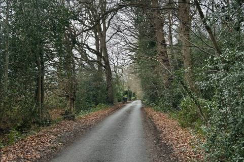 Property for auction in Surrey