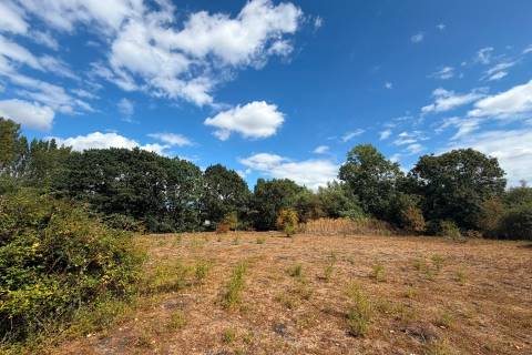Property for auction in Berkshire