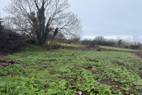 Property for auction in Cornwall