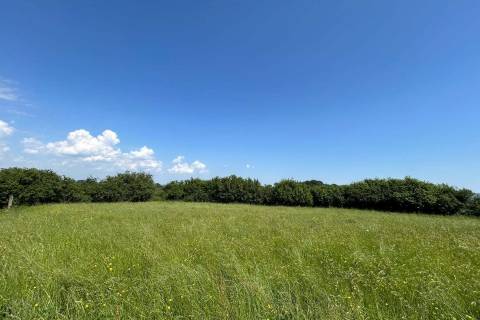 Property for auction in Somerset