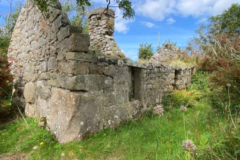 Property for auction in County Galway