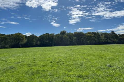 Property for auction in 