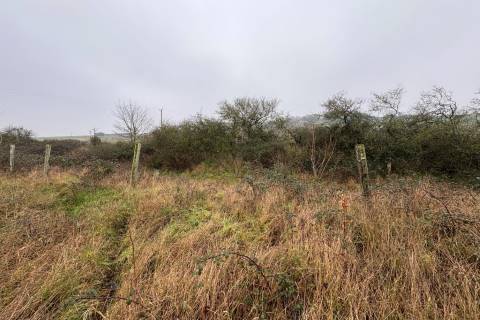 Property for auction in Norfolk