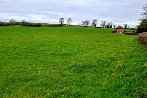 Property for auction in Powys