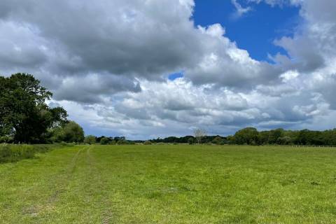 Property for auction in Somerset
