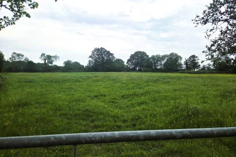 Property for auction in Somerset