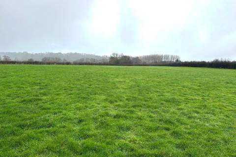 Property for auction in Somerset