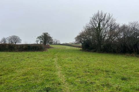 Property for auction in Somerset