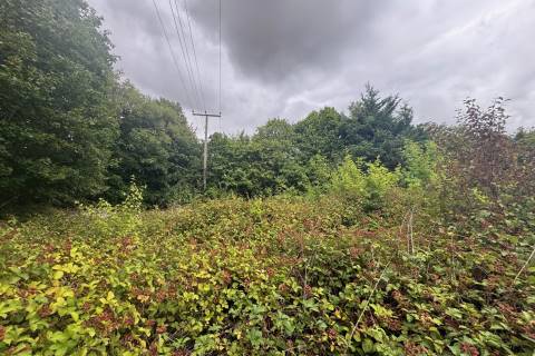 Property for auction in Suffolk
