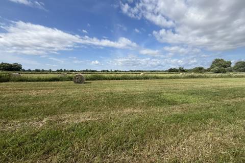 Property for auction in Somerset