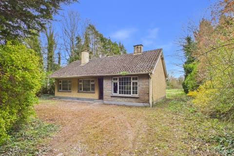 Property for auction in County Offaly