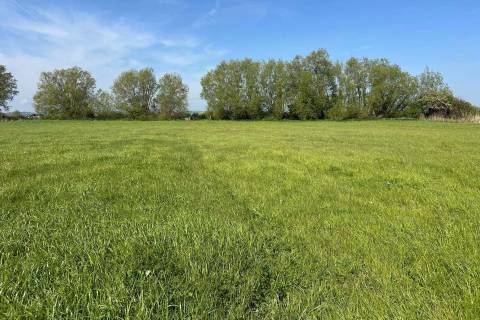 Property for auction in Somerset