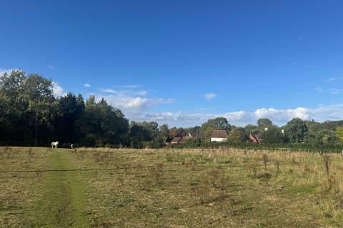 Property for auction in Essex