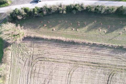 Property for auction in County Dublin