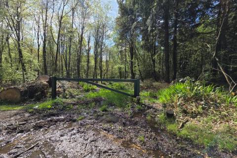 Property for auction in Dorset