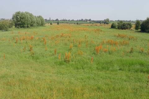 Property for auction in Somerset