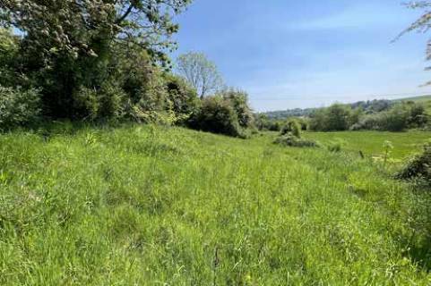 Property for auction in Dorset