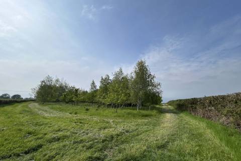 Property for auction in Somerset