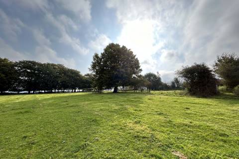 Property for auction in Dorset