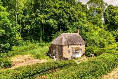 Property for auction in Somerset