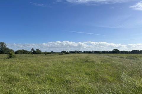 Property for auction in Somerset