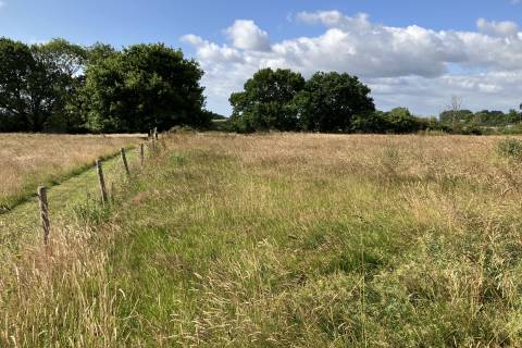 Property for auction in Dorset